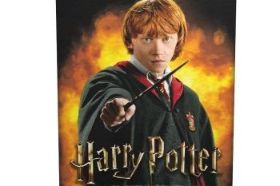 Dragon Shield Matte Art Sleeves - WizardingWorld - Ron Weasley (100 Sleeves)